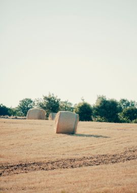 Countryside hay bales pack