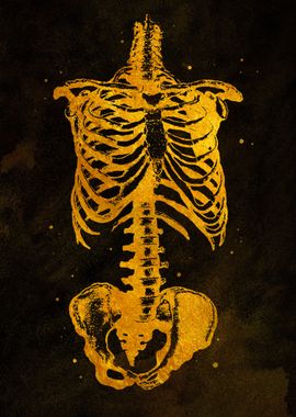 Torso Skeleton Gold