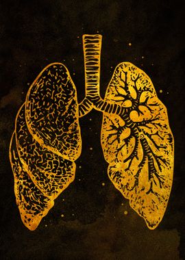 Lung Anatomy Gold