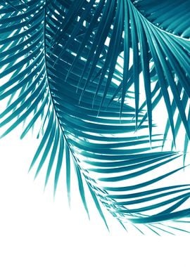 Palm Leaves Teal Blue Vibe