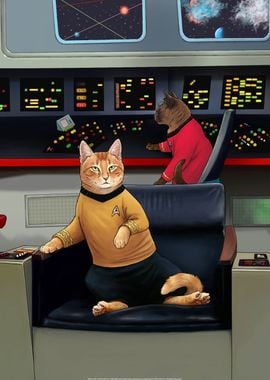 Star Trek Cats 1