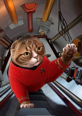 Star Trek Cats 3