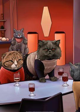 Star Trek Cats 14