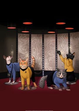 Star Trek Cats 5