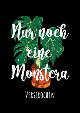 Nur noch eine Monstera