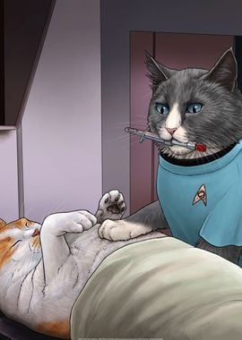 Star Trek Cats 4