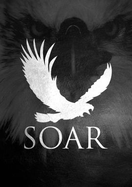 Soar Like an Eagle