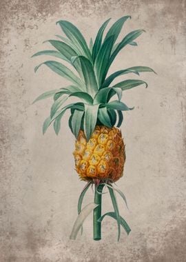 Just Pineapple