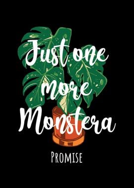 Just One More Monstera