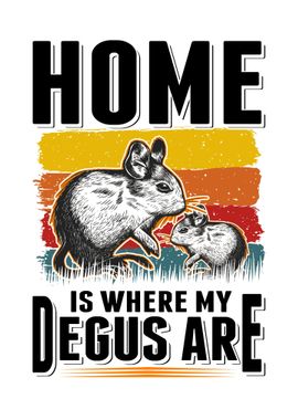 Home Is Where My Degus Are