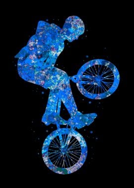 Bmx bike