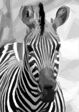 Geometric Stripes of Zebra