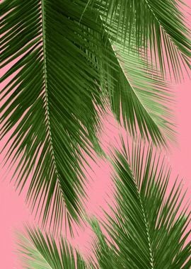 Palm Leaves Vibes 1