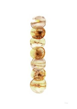 Amber totem