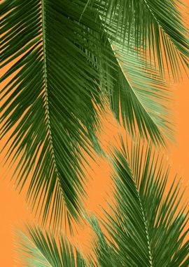 Palm Leaves Vibes 3