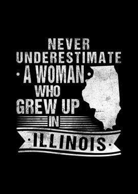 Vintage Illinois Map