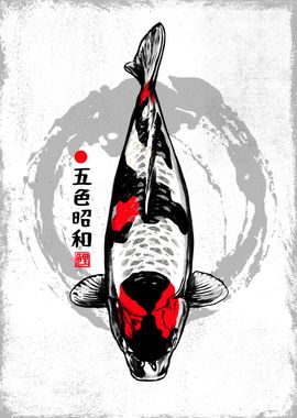 GOSHIKI SHOWA Koi Fish