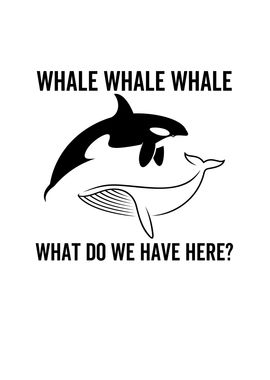 Whale Whale Whale What Do