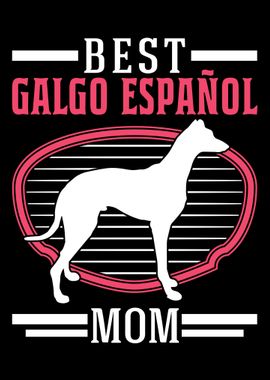 Best Galgo Espanol Mom