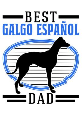 Best Galgo Espanol Dad