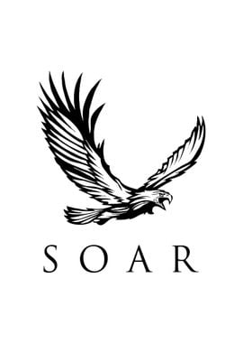 Soar