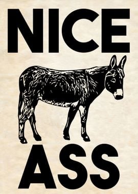 NICE ASS 07