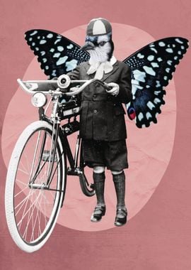 Bird Butterfly Cyclist