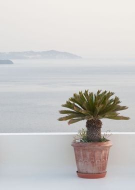 Santorini Zen Dream 1