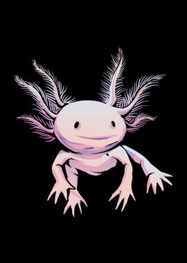 Axolotl