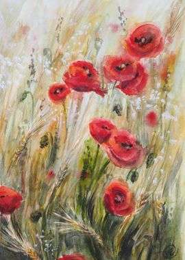 Poppies meadow watercolor