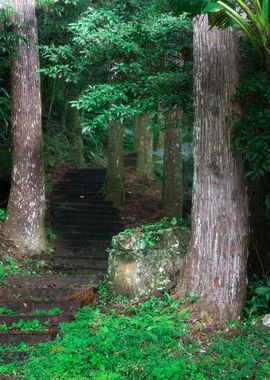 sshaped walkway stairs