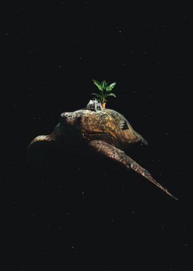 Space turtle