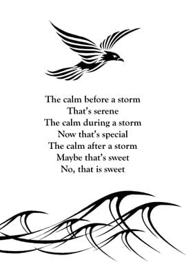 Storm Dove