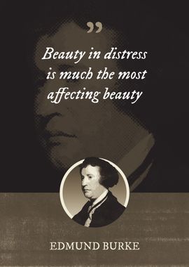 Beauty in distress is much