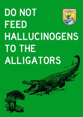 DO NOT FEED ALLIGATORS 3