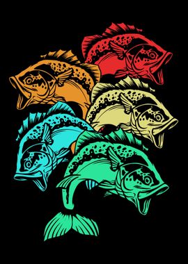 Colorful Bass Fish