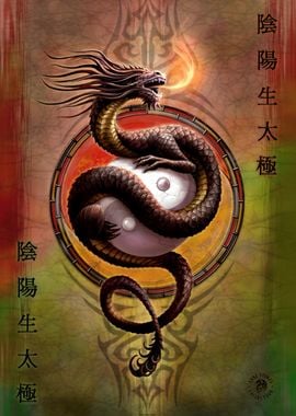 Yin Yang Protector