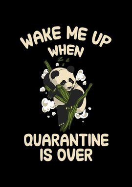 Wake me up when quarantine