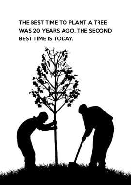 Chinese Tree Planting