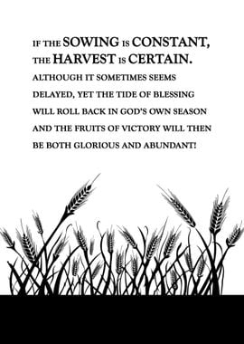 Constant Sowing