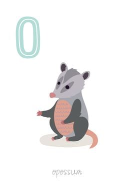 Animal Alphabet O Opossum