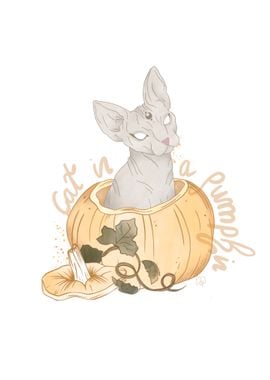 Cat in a pumkin