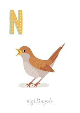 Animal Alphabet Nightingal