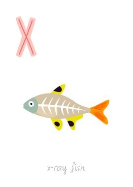 Animal Alphabet X Ray Fish