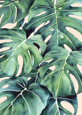 Modern Monstera Leaves