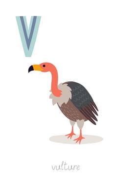 Animal Alphabet V Vulture