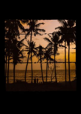 Beach Sunset Palm Trees