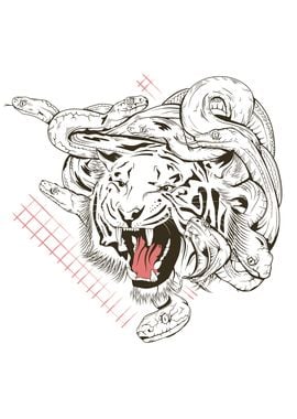 Medusa Tiger