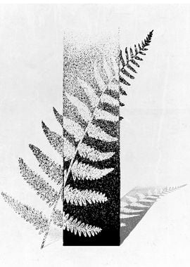 Fern Shadow