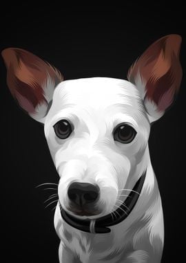 Rat Terrier 2